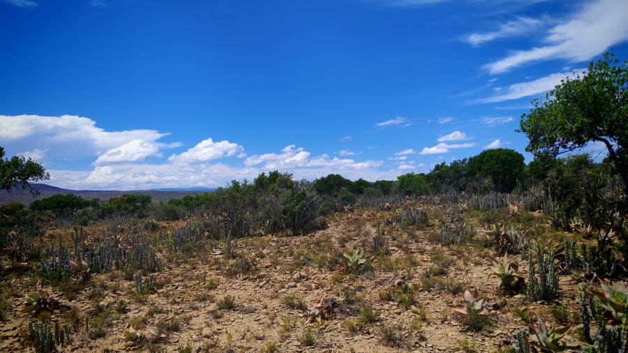 6 Bedroom Property for Sale in Pearston Eastern Cape